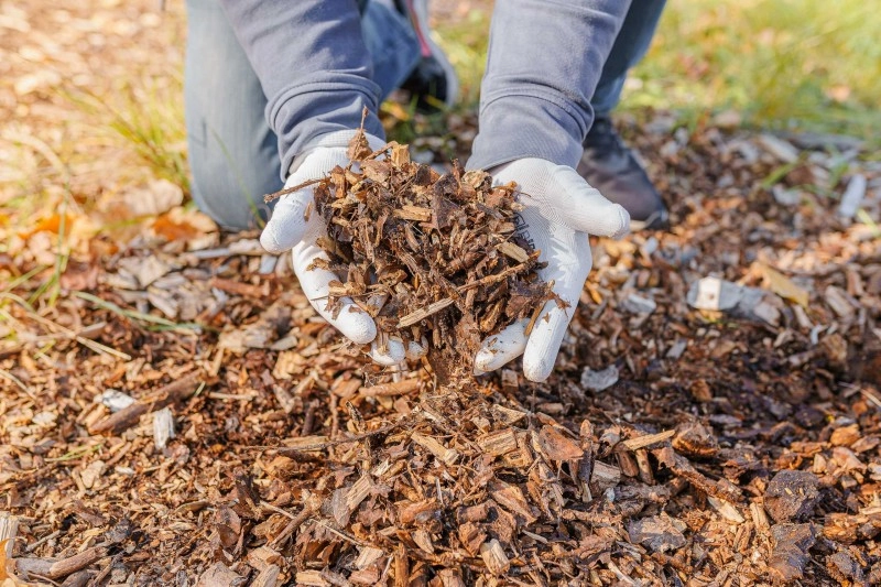 Bio-Einstreu für Nutztiere, Bio-Einstreu für Haustiere, Bio-Einstreu für Tiere, 
